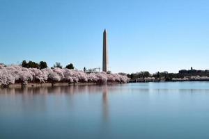 Washington Denkmal in Washington DC, USA foto