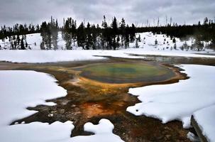 Geysir im Yellowstone-Nationalpark foto