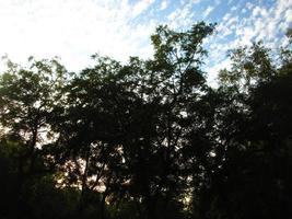 blauer himmel und silhouette von bäumen tagsüber in karachi pakistan 2022 foto