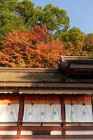 Ahornbaum während der Herbstsaison in Farbwechsel gelb, rot, orange mit altem Traditionsdach des Tempelschreins foto