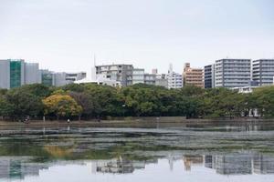 blick auf die skyline der stadt über dem teich see natürliche ansicht tagsüber in japan, große stadt mit natürlichem seeöffentlichkeit foto