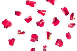 Rosenblütenblätter auf weißem Hintergrund. Valentinstag Hintergrund. flache Lage, Draufsicht, Kopierbereich. foto