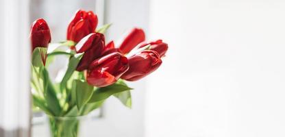 schöner Strauß roter Tulpen in der Vase auf der Fensterbank zu Hause, Banner foto
