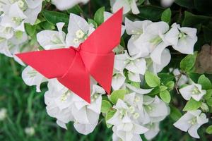 Schmetterlings-Origami mit Blume foto