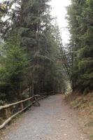 Gehweg oder Straße mit Holzzaun im Wald in der Nähe des Sees Synevyr, Transkarpatien foto