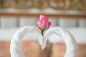 Handtuchschwäne auf dem Bett im Hotel foto