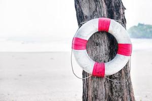 Schwimmring, der am Baum in der Nähe des Strandes hängt foto