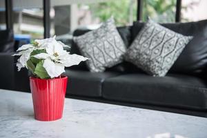 Blume mit rotem Topf im Wohnzimmer foto