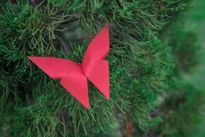 Schmetterlings-Origami mit der Natur foto