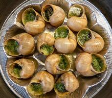 escargots de bourgogne-schnecken gefüllt mit kräutern und öl. ein exquisites französisches Gericht mit gebratenen Schnecken. foto