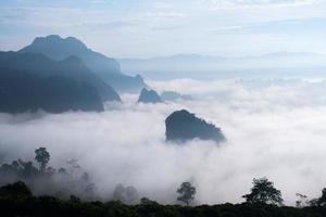 landschaft der berge nebel phu lanka nationalpark phayao provinz nördlich von thailand foto