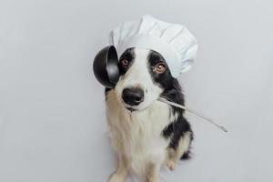 lustiger Hündchen-Border-Collie im Kochkochhut, der Küchenlöffelkelle im Mund hält, isoliert auf weißem Hintergrund. kochhund kocht abendessen. hausgemachtes Essen Restaurant-Menü-Konzept. Kochvorgang. foto