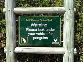 Pinguinzeichen - Tafelberg-Nationalpark foto