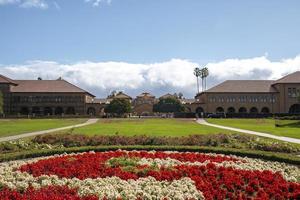 schöne blumen, die vor dem stanford-universitätsgebäude wachsen foto