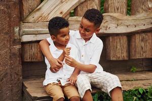 Zwei kleine afroamerikanische Brüder sitzen zusammen auf der Farm foto