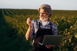 Laptop halten. Porträt eines älteren stilvollen Mannes mit grauem Haar und Bart auf dem landwirtschaftlichen Feld foto