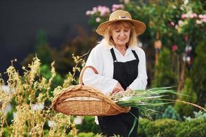 mit Korb in den Händen. Seniorin ist tagsüber im Garten. Vorstellung von Pflanzen und Jahreszeiten foto