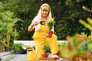 Arbeiten mit Pflanzen in Töpfen. Seniorin in gelber Uniform ist tagsüber im Garten foto