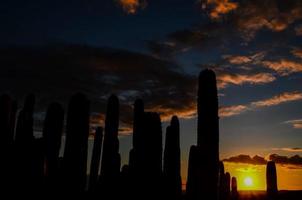 Wüstenblick über den Sonnenuntergang foto