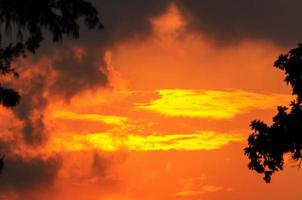 Silhouette des Baumes und der Sonne in einem hellorangen Gelb bei Sonnenuntergang foto