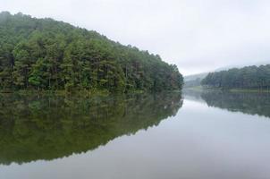 Naturlandschaft im Morgengrauen von Seen und Pinienwäldern foto