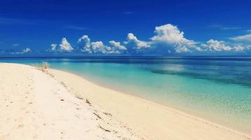 tropischer paradiesstrand mit weißem sand und palmen panoramischer tourismus tourismuskonzepthintergrund
