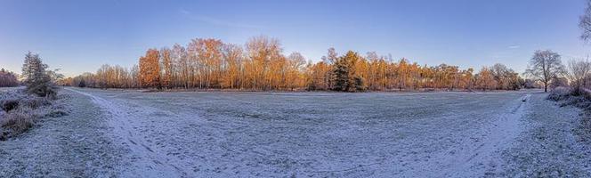 Bild des Winterwaldes, der morgens bei Sonnenaufgang mit Eis bedeckt ist foto