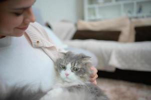 Eine junge Frau arbeitet zu Hause, während eine weiße Perserkatze foto