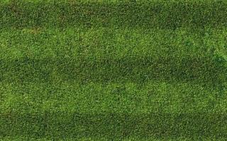 grüne grasbeschaffenheit für sporthintergrund. Gras Textur. 3D-Darstellung. foto