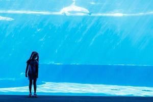 Kleines Mädchen, das Delfine im Aquarium in der Nähe beobachtet foto