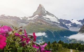 Idyllische Landschaft in den Alpen mit frischen grünen Wiesen und blühenden Blumen und schneebedeckten Berggipfeln im Hintergrund. foto