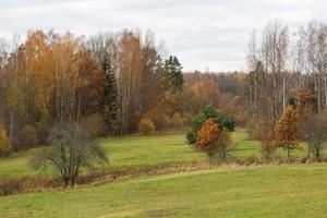 Natürliche Herbstlandschaften in Lettland foto