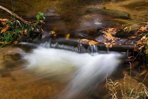 kleiner Waldfluss mit Steinen foto