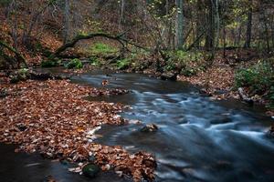 kleiner Waldfluss foto