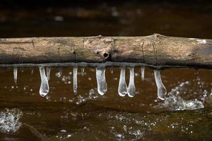 Eiszapfen in einem kleinen Waldfluss foto