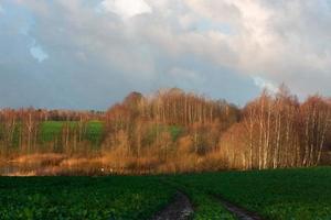 Natürliche Herbstlandschaften in Lettland foto