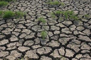 Bodendürrebedingungen in asiatischen Ländern foto