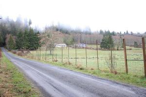 Landstraßen mit Wiesen, Eisenzäunen und Kiefernwäldern. foto