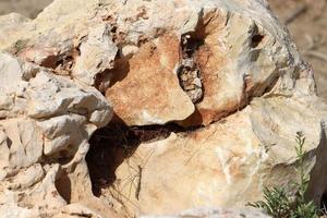 Textur von Steinen und Felsen. abstrakter Steinhintergrund. foto