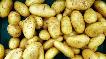 Frische Kartoffeln auf grüner Plastikbox im Supermarkt. frisches gemüse auf dem markt. Gruppe von Objekten foto