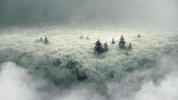 vertikaler Garten mit tropischem grünem Blatt mit Nebel und Regen, dunkler Ton foto