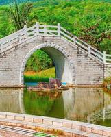 die brücke über den teich im chinesischen garten. foto