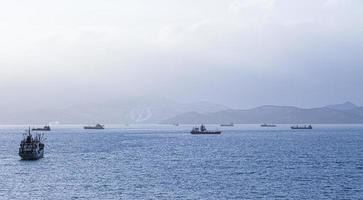 Fischwadenfänger in der Avacha-Bucht auf der Halbinsel Kamtschatka foto