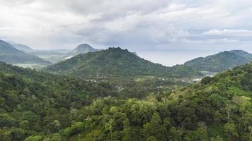 Blick von der Spitze des tropischen Waldes foto