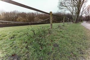 zerstörter alter Drahtzaun im Winter foto