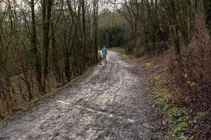 an einem regnerischen Tag im Wald spazieren foto