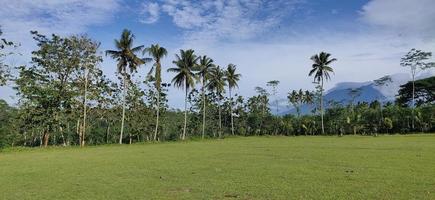 ein fußballplatz im gunung kawi tal, malang, ost java mit torpfosten und pflanzen an den seiten. Kokospalmen, Palmen, Sengon-Bäume, schöne Aussicht foto