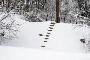 Treppe im Schnee im Winterpark foto