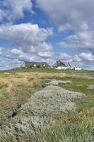 Hamburger Hallig oder Hamburg Holm, Nordsee, Nordfriesland, Deutschland foto