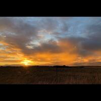 Ländliches Feld bei Sonnenuntergang foto